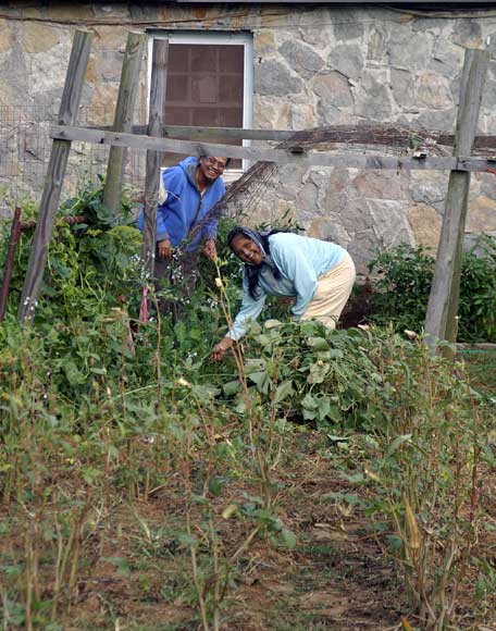 On More Harvest 2