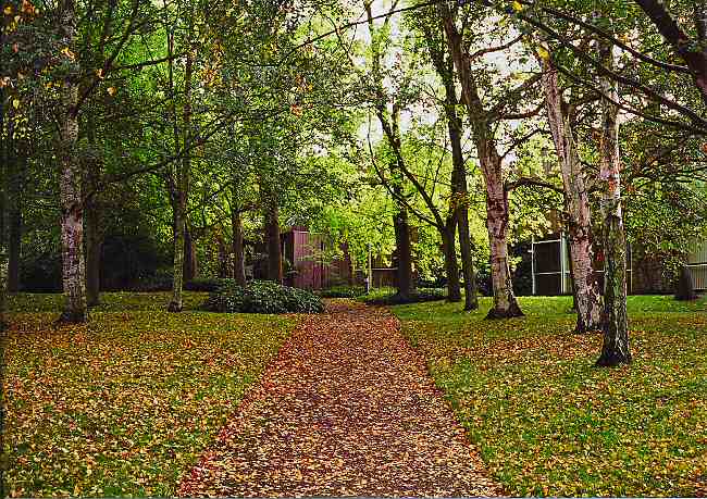 autumn-2005-1.jpg