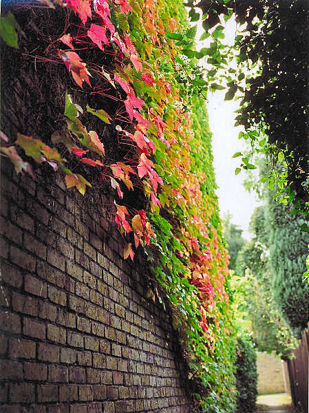 autumn_2005_3.jpg