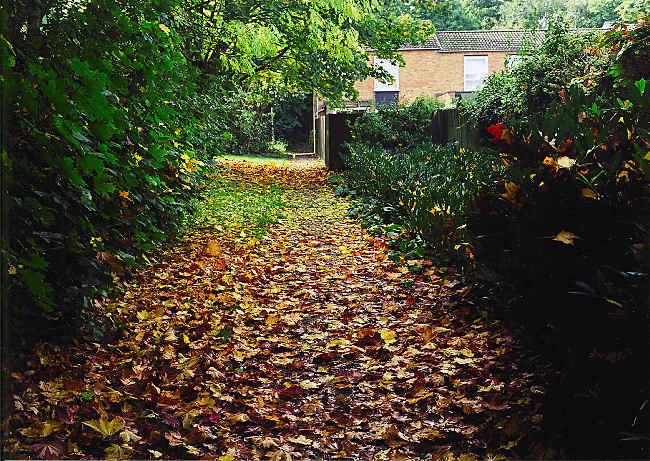 autumn_2005_5.jpg