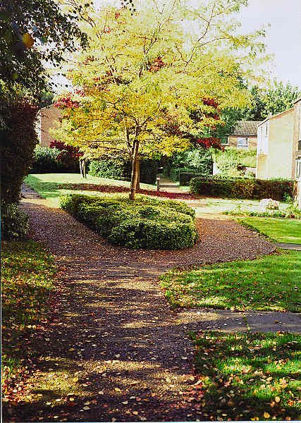 autumn_2005_7.jpg