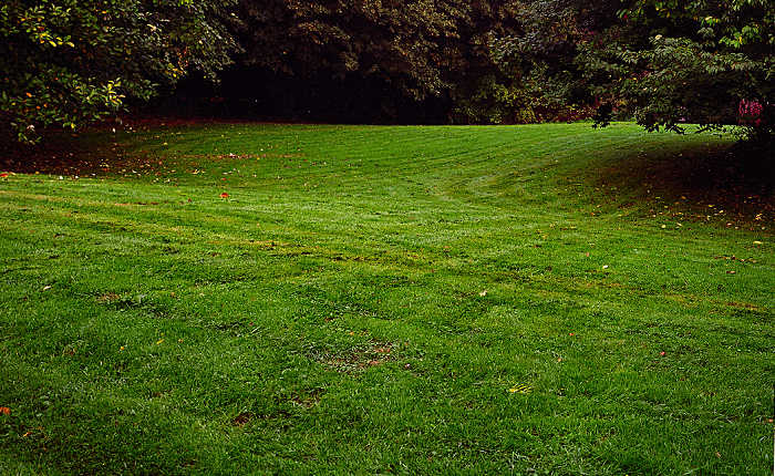 green11.jpg