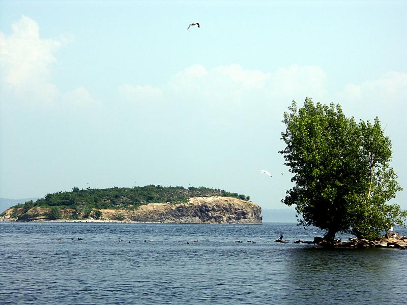 Treasure Island