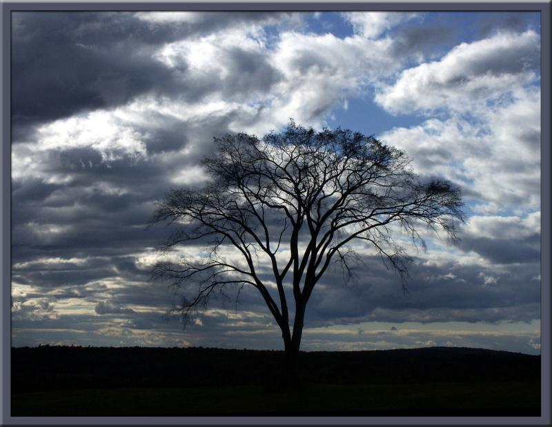 LANDSCAPES
