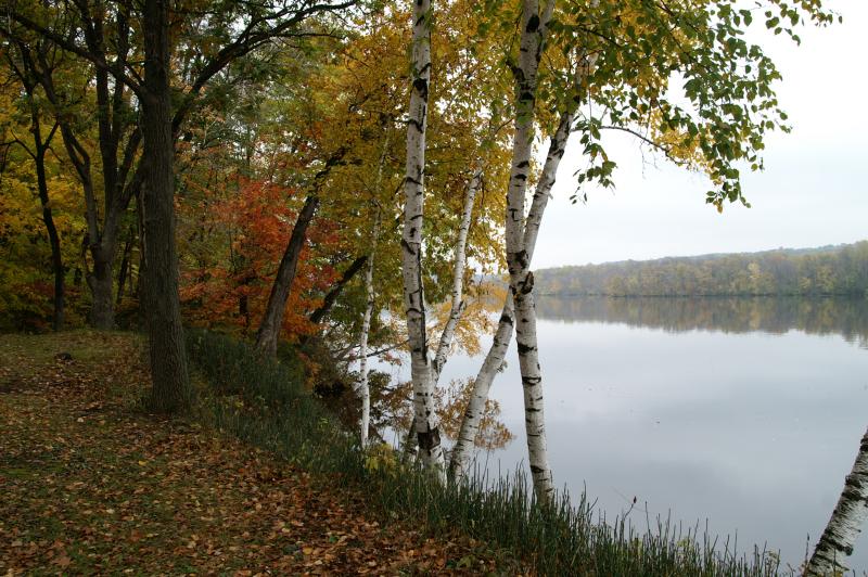 Taylors Falls