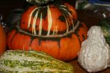 Gourds