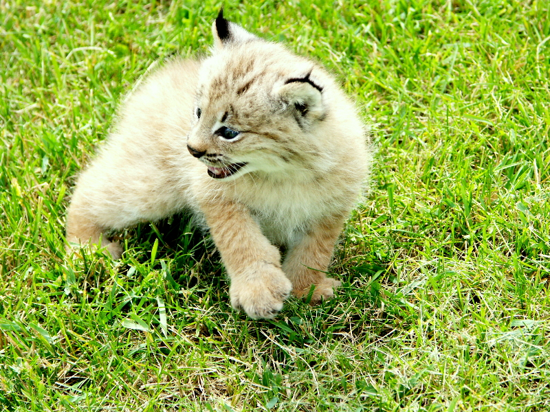 PICT0090.JPG