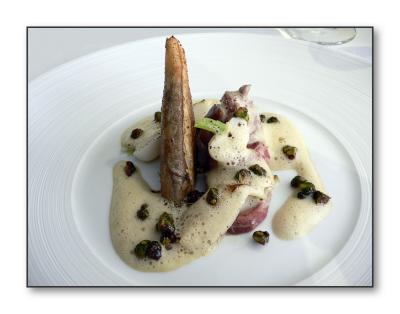 POACHED BREAST OF ANJOU PIGEON PANCETTA, Pastilla of its leg, pistachio, cocoa and quatre epices