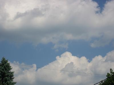 v3/73/506473/3/45063974.CANONSD200356.jpg