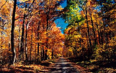 Autumn Cran Ridge Road- Grt Color tb8-04.jpg