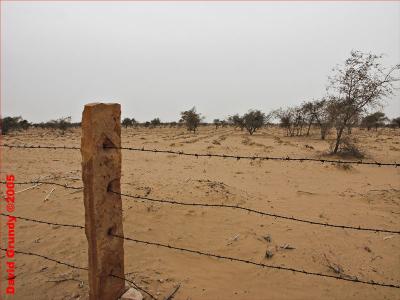 20050209 015 Stone fenceposts in desert fields.jpg