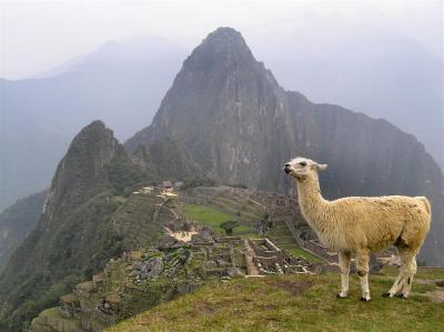 Machu_Picchu 2.JPG
