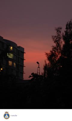 I met her in Nai Chung (051002)