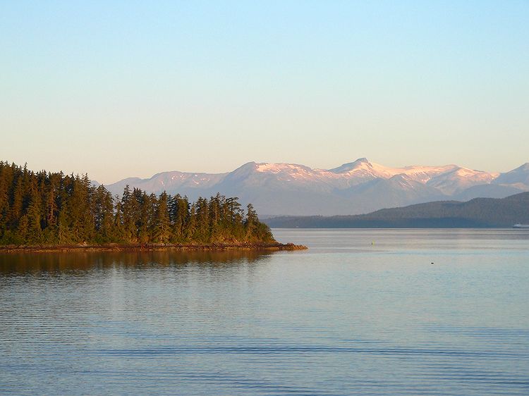 P1070506c.jpg