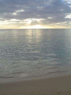 v3/74/267674/3/45059045.TahitiDSC03587.jpg
