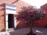 Arequipa (May 05)