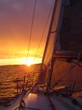 Sailing to Kawau Island