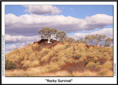 Rocky Survival