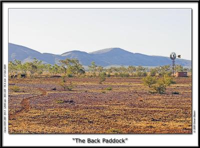 The Back Paddock