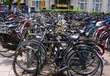 bikes_bikes_bikes.jpg