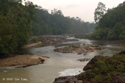 Jasin rapids downstream