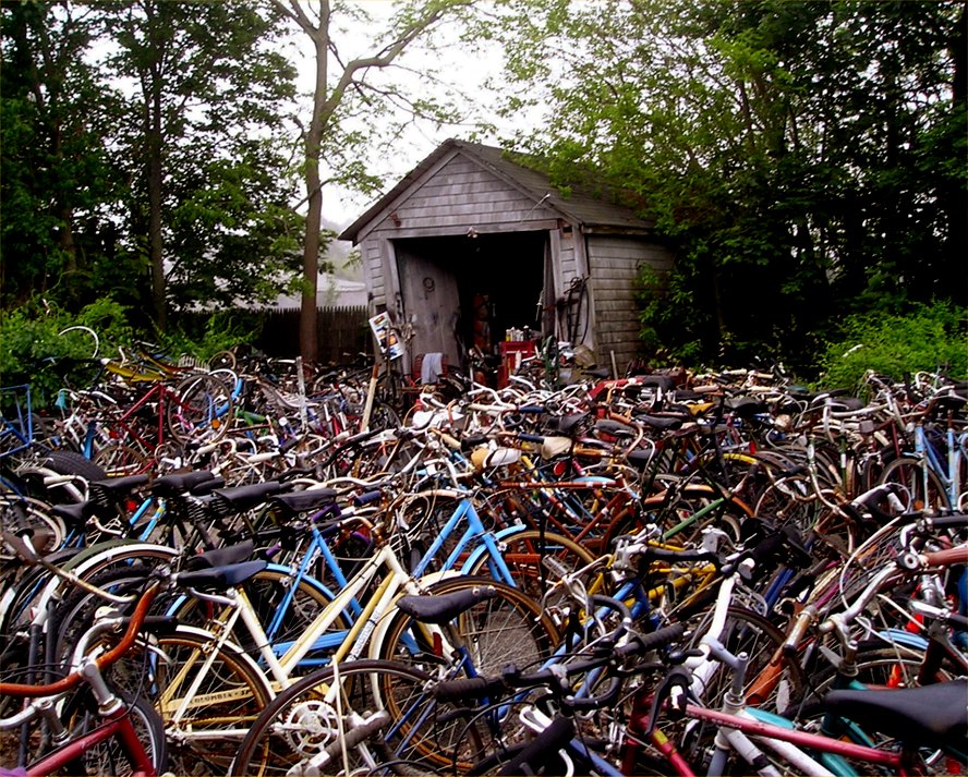 Bicycles for rent