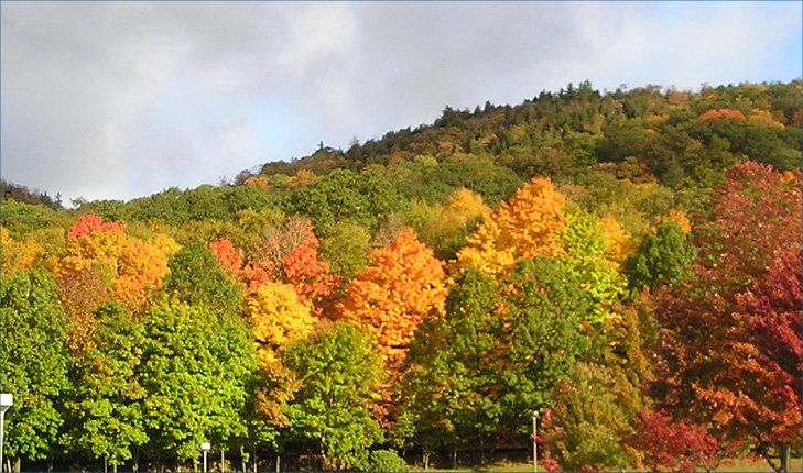 Fall array