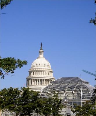 Capitol Dome