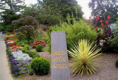 Tralee garden