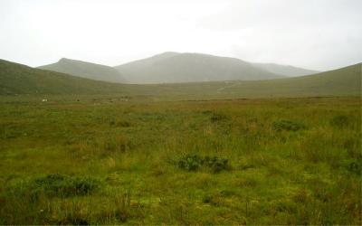 Wide open spaces in Dingle