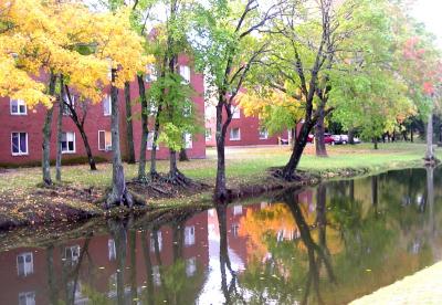 Campus reflections