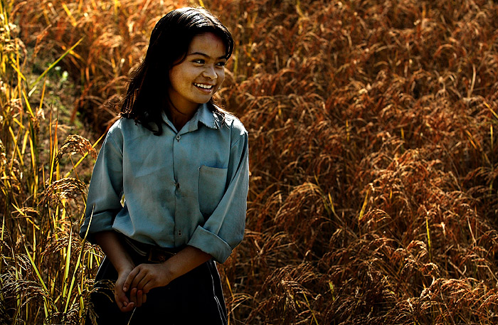 IN THE RICEFIELD