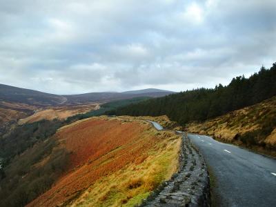 Sally Gap, Dublin