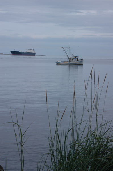 DSC_0056_resize.JPG