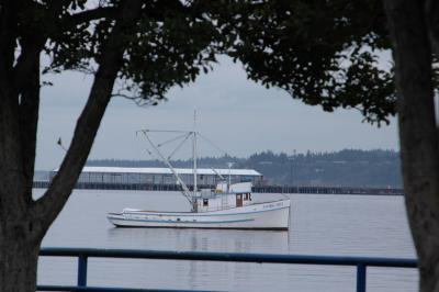 DSC_0031_resize.JPG