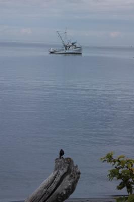 DSC_0045_resize.JPG