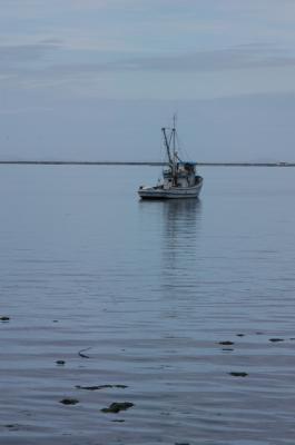DSC_0074_resize.JPG