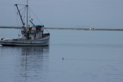 DSC_0075_resize.JPG