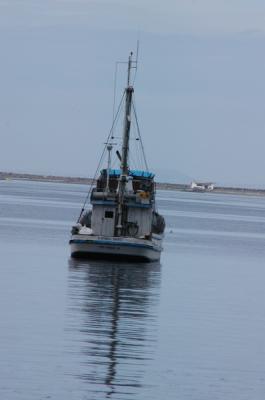 DSC_0080_resize.JPG
