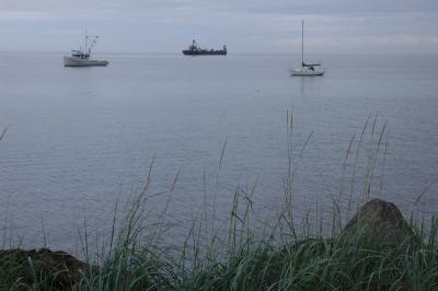 DSC_0088_resize.JPG