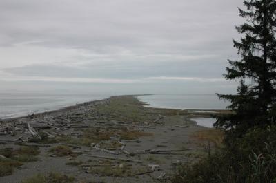 DSC_0098_resize.JPG