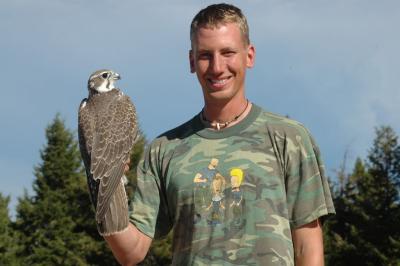 Prairie Falcon 2