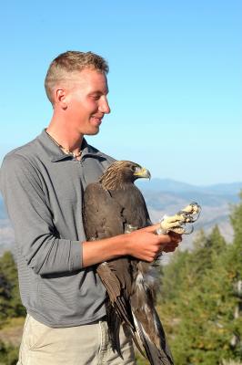 Golden Eagle 2