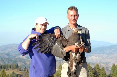 Golden Eagle 3