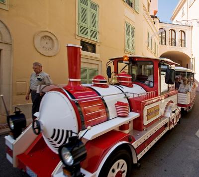 Sightseeing Train