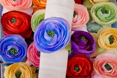 Floral - Eze