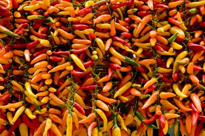 Chili Peppers - Sorrento