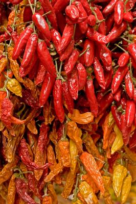 Red Hot Chili Peppers - Sorrento