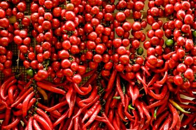 Red Hot Chili Peppers - Sorrento