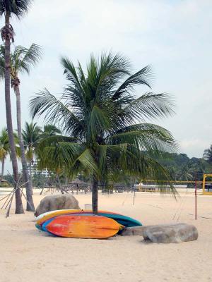 DSCN3954.JPG